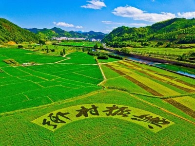 鄉村振興工作動態 （第144期）